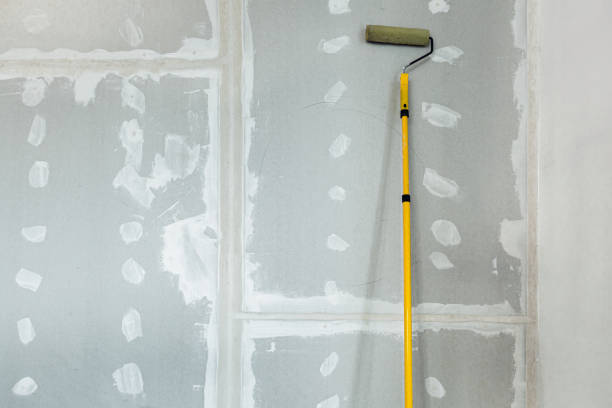 Best Drywall Texturing  in Franklin, CA